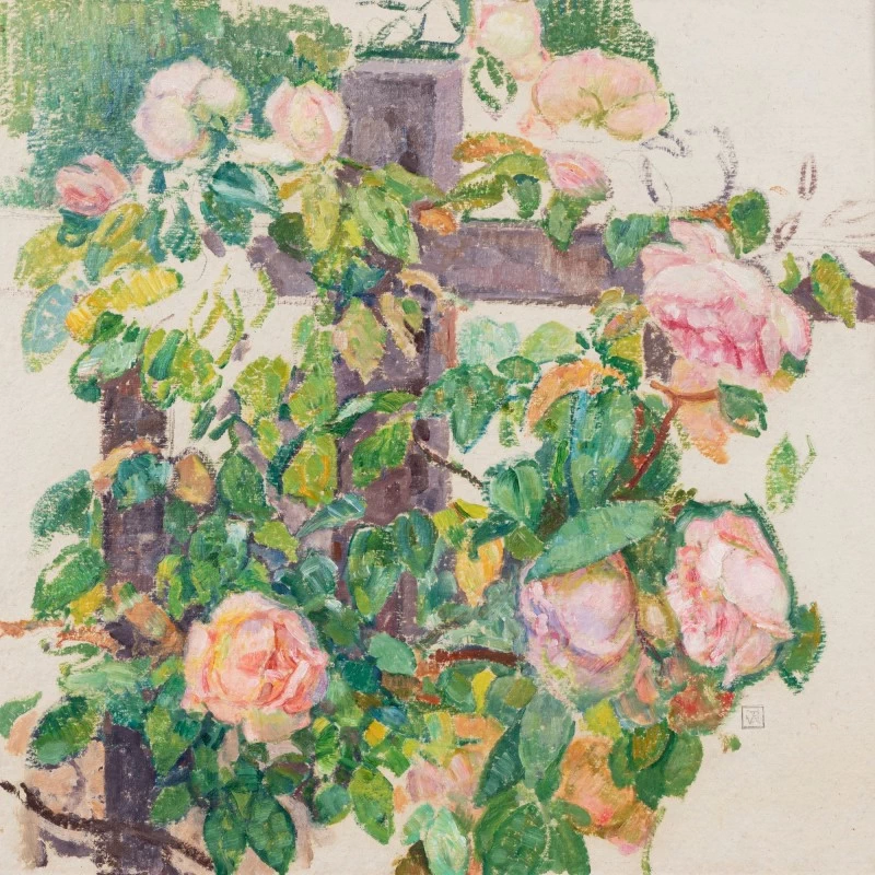 Rose rampicanti